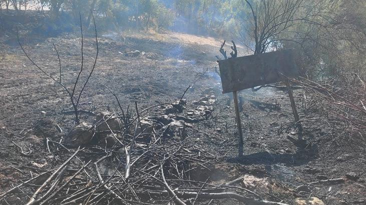 Siirt'teki yangın ormana sıçramadan söndürüldü