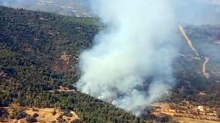 İzmir'de orman yangını! Havadan ve karadan müdahale ile kontrol altına alındı