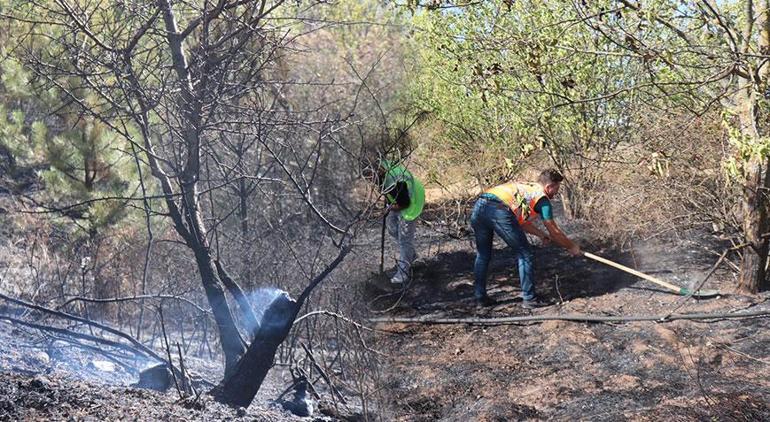 Edirne'de TEM kenarında orman yangını! 10 dönüm alan zarar gördü