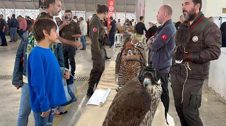 Tekirdağ'da görücüye çıktı, yoğun ilgi gördü! 150 bin TL'ye satın alan var