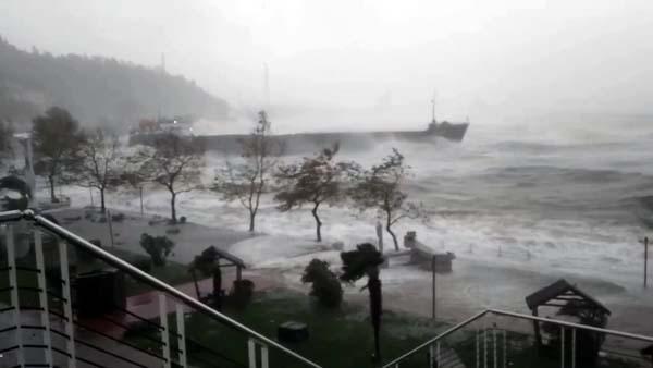 Zonguldak'ta korku dolu anlar! Gemi karaya oturdu, mürettebat tahliye ediliyor