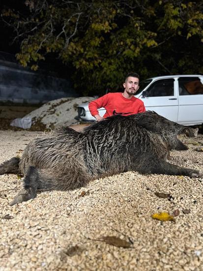 Bahçesine musallat olan dev domuzu 7 yılda öldürdü: Her gece 4 saat bekledim