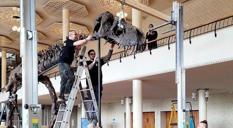 Türk bilim insanları duyurdu: Dinozorlar tozutmuş!