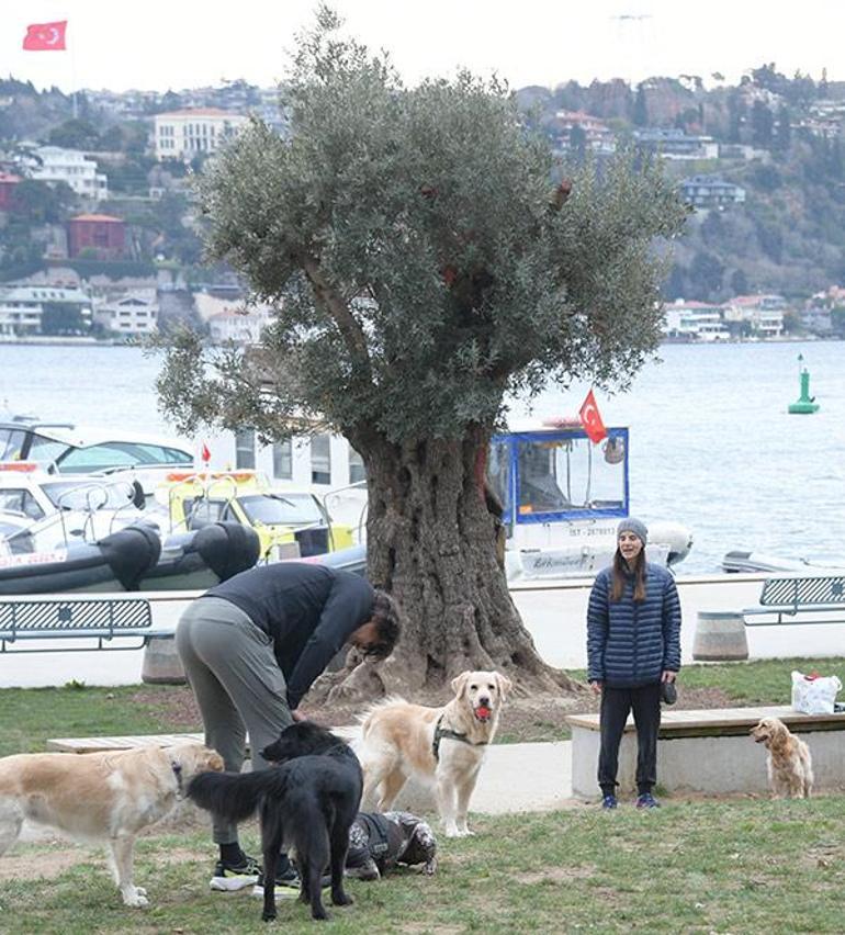 'O defteri kapattım' demişti! Edvina Sponza ile İbrahim Kutluay barıştı