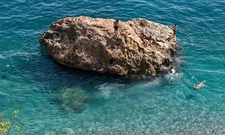 Antalya'da denizde korkutan manzara: Kıyıya yakın sularda sürüler halinde